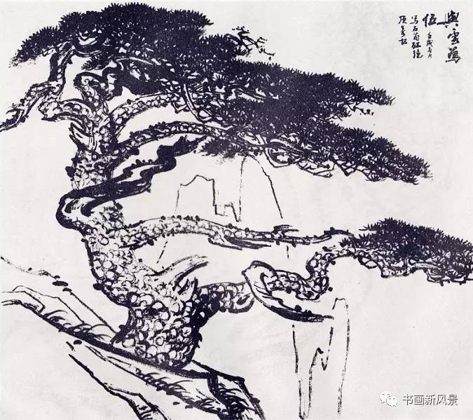 "黄山松王"画松珍贵合集50幅!雄健苍拙,气势如虹!