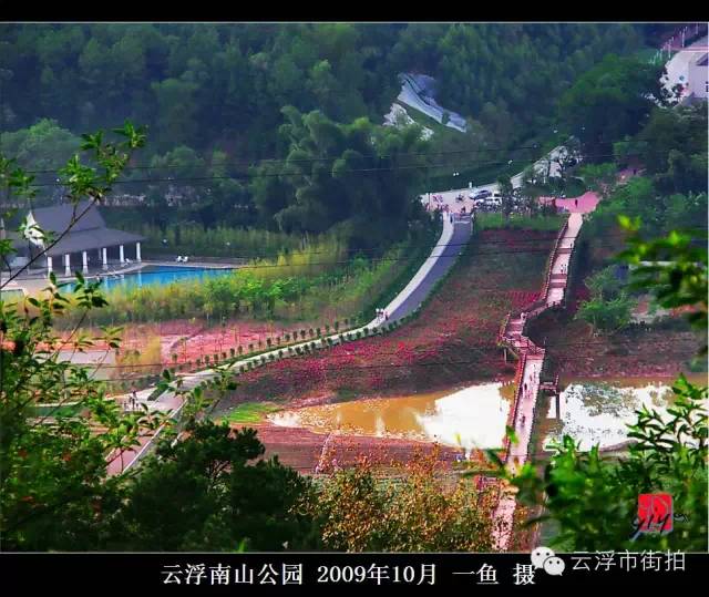 景色,原先的杜鹃花种了一片,那大片的杜鹃花娇艳亮眼,绚烂了整个公园