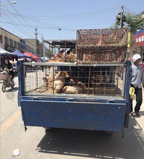 男生脱女生内衣内裤动态图片_女生内衣内裤半脱照片(2)