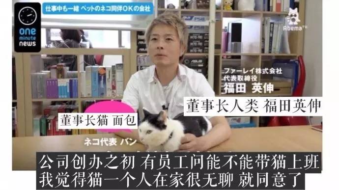 那猫代驾老总