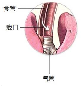 胃浆肌瓣包埋预防食管贲门癌术后吻合口瘘及狭窄30例临床观察