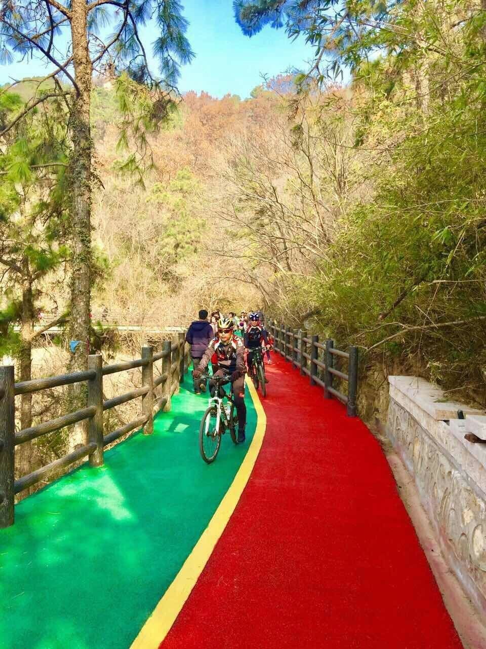 【健身精品线路】风光旖旎,植物秀丽.快来体验北崮山健康步道