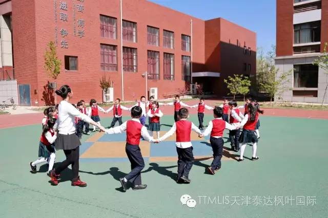 天津泰达枫叶国际学校幼儿园小学初中高中2017年秋季招生简章