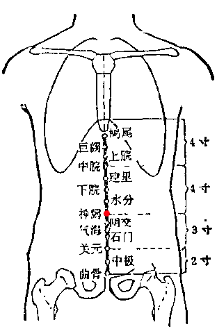 位于哪里?怎样才叫气沉丹田?