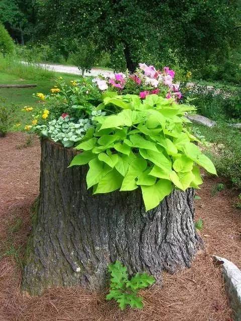 与其买又贵又难看的花盆 这些旧物才真正高颜值