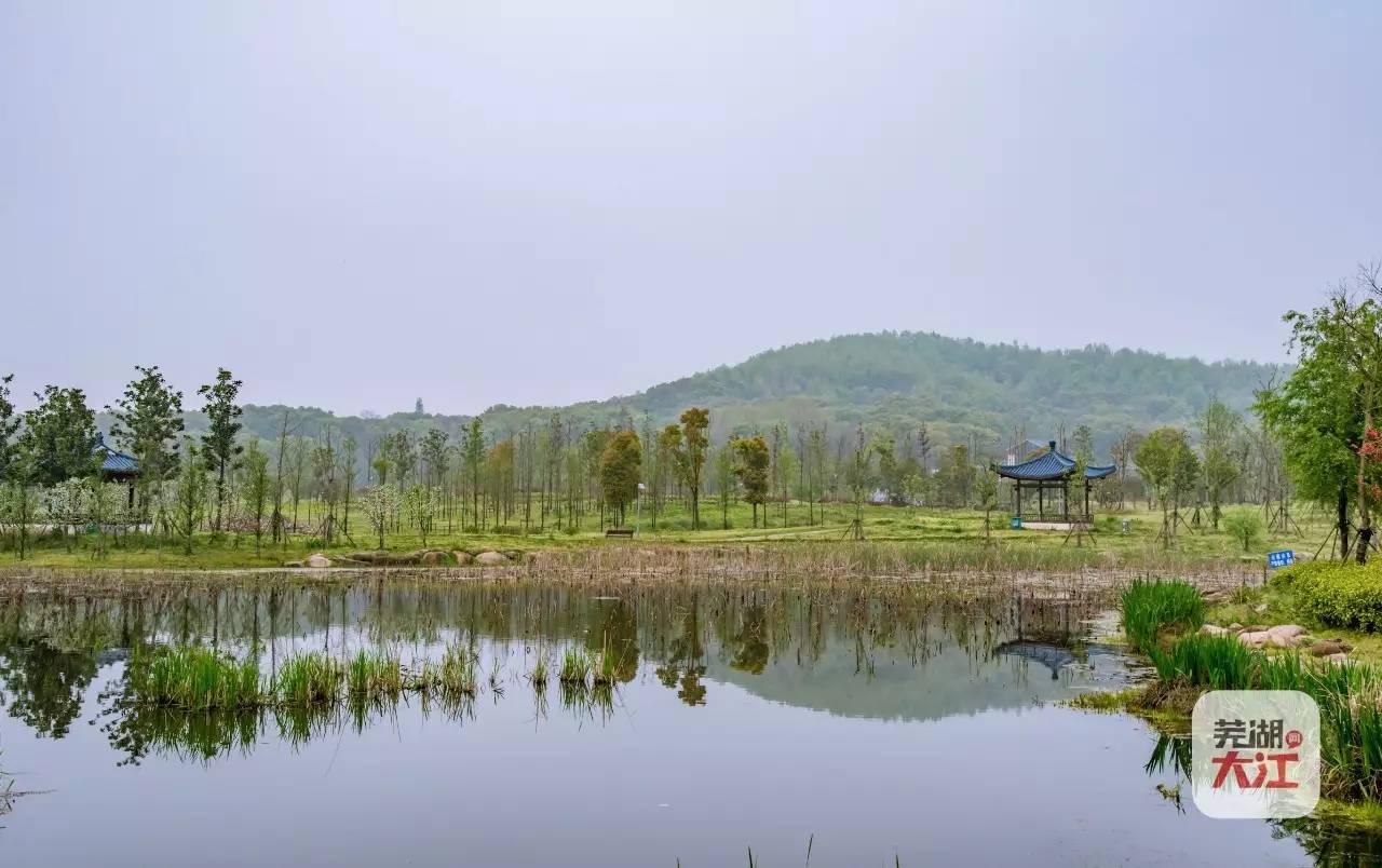 积聚居住 商业 工业 文化 娱乐于一体 赭山 什么弋矶山,四褐山