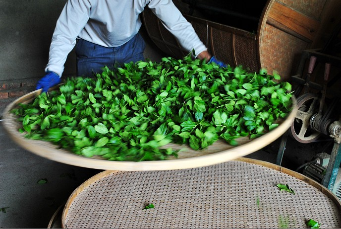 天福茗茶,八马茶业,华祥苑,山国饮艺,日春茶业,川和茶业,茗腾茶叶