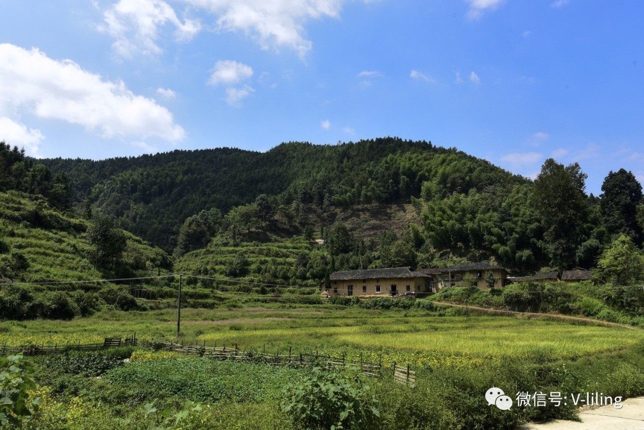 醴陵市官庄乡有多少人口