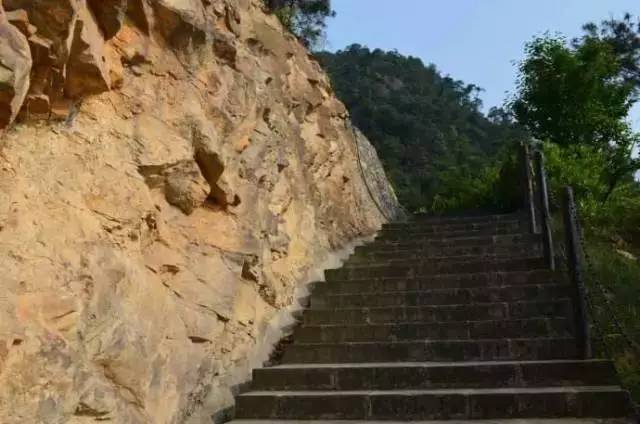 重庆最美的登山步道,最佳的采茶圣地帮你找好了,出发