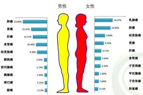 肿瘤本质是基因病