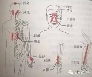 2. 经络穴位