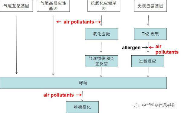 哮喘的原理_既然知道了哮喘的发病机制,我们就一步一步来看看都可以怎么治疗   首先,哮喘是