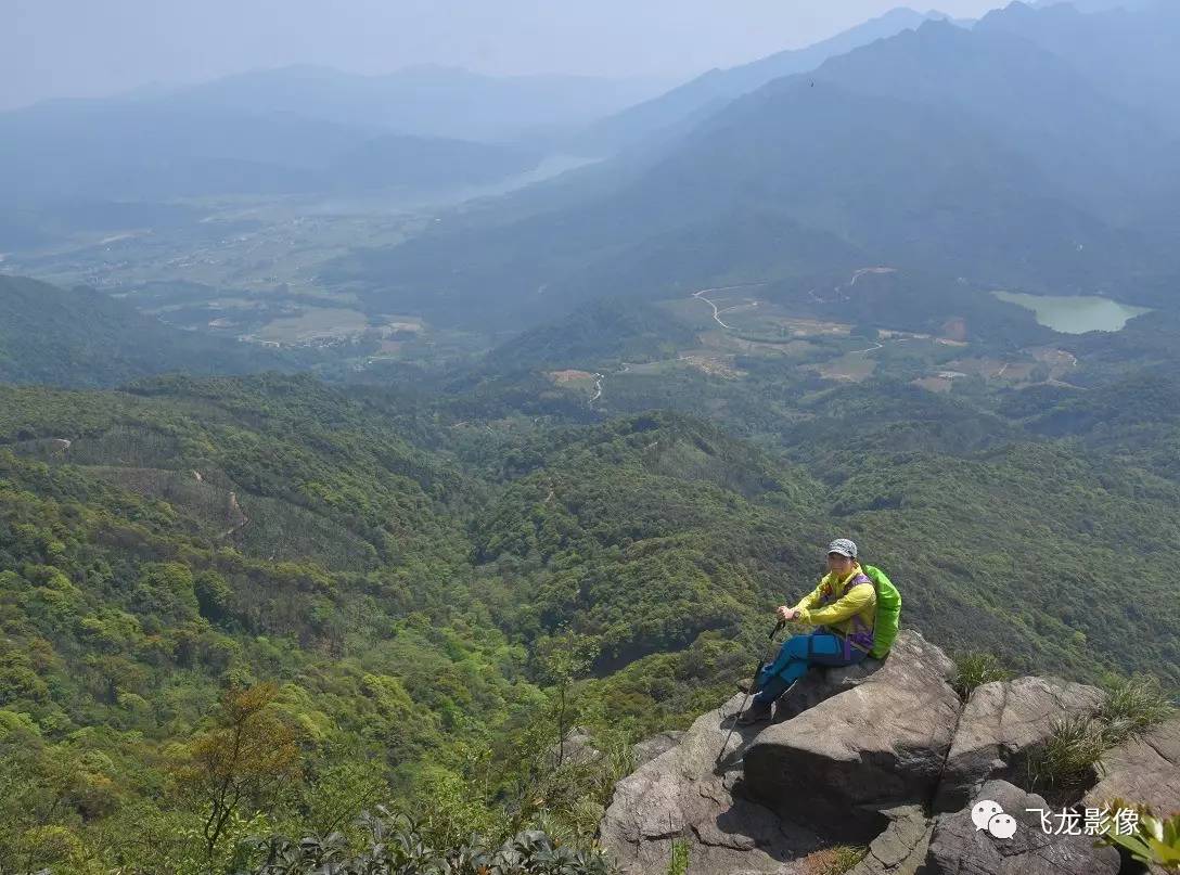 里的两条狗狗尾随进山茶岩顶山下的上坑村搭着摩托去旅行罗坑的茶岩顶