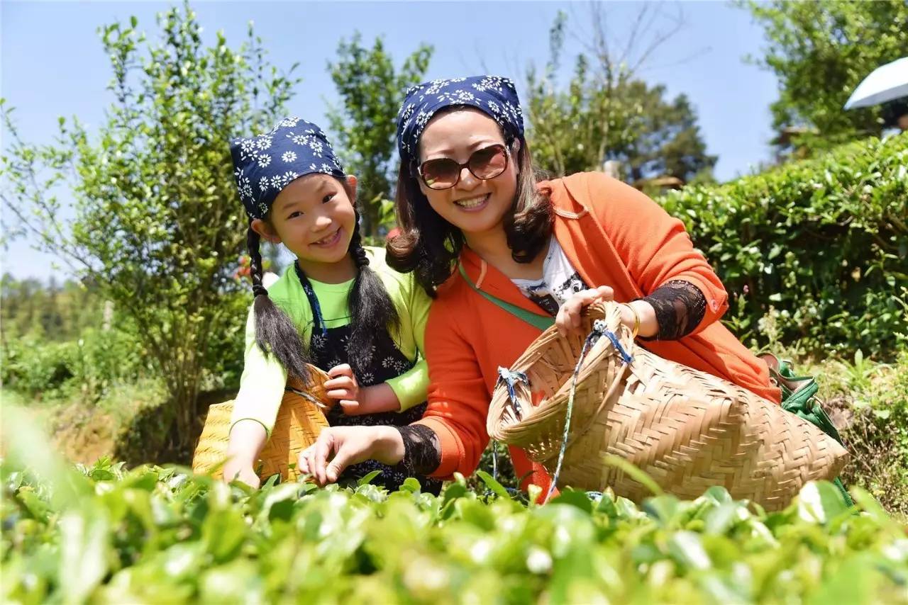 踏青|民革赣州市委会醉美园村采茶游