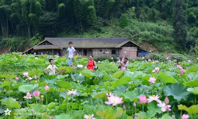 沐川县农村人口_近年来,沐川县以新农村建设、城乡统筹为契机,整合政策资源(2)