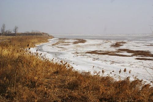 合阳黄河