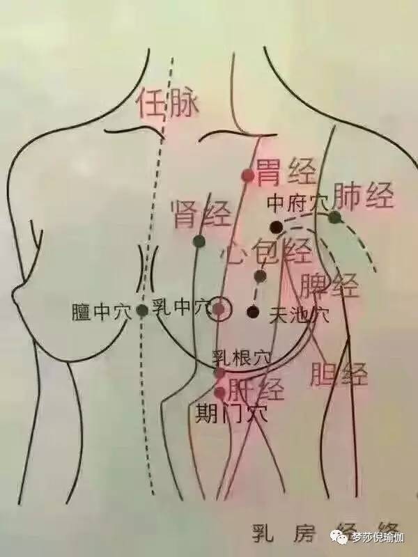 你的乳房保养了吗?