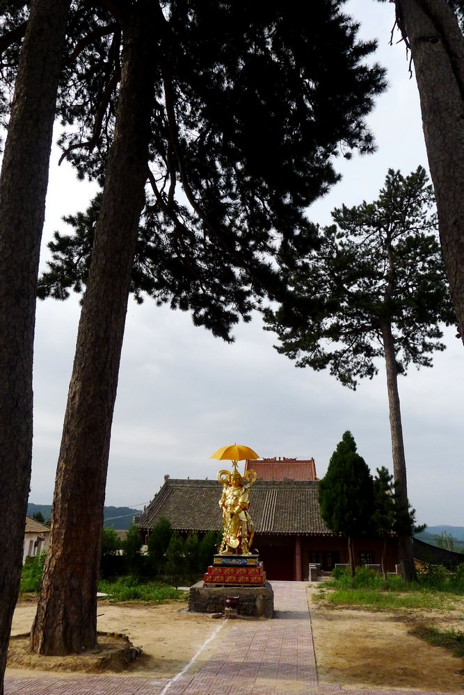 陕西名寺古刹:延安无量山莲云寺--五松抱柏