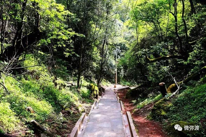 密祉镇首届太极山杜鹃花节都做了些啥,错过的朋友一起去瞧瞧!