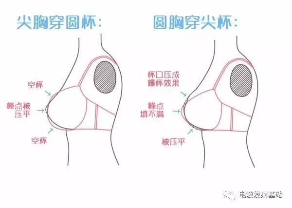 怎么根据胸型买内衣?