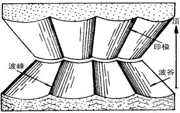 口诀: 沉积岩层面上的波痕成因很多, 但可用于指示和判断岩层顶面和底