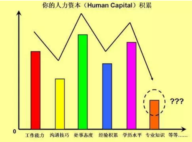 宏观经济学研究资源利用问题 是总量分析