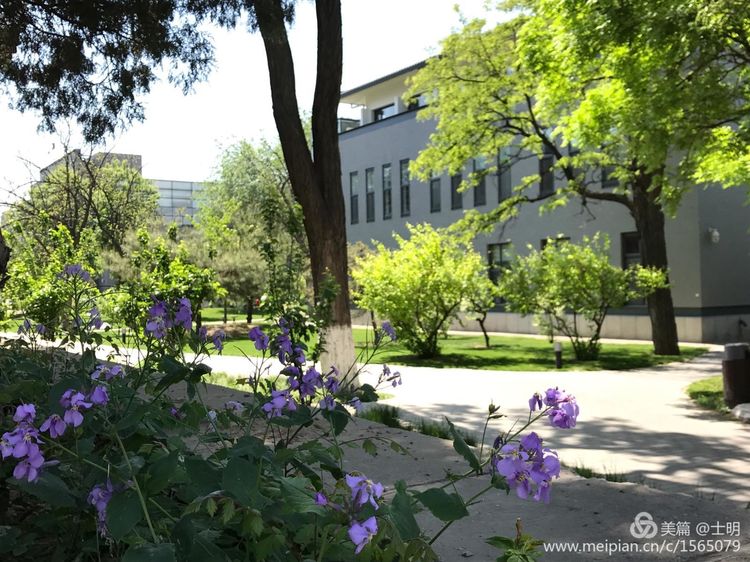 爱在国关这里是北京大学国际关系学院