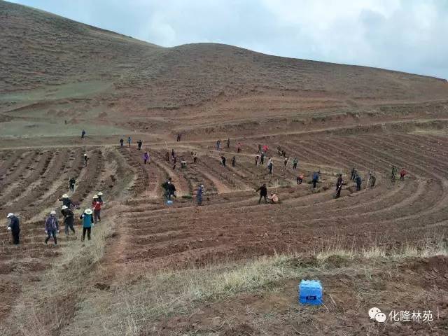 化隆县人口_化隆回族自治县的介绍