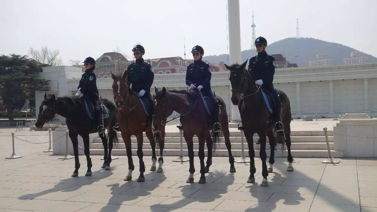 女骑警英姿飒爽啊,这些女骑警应该都是从系统里万里挑一选拔出来了,要