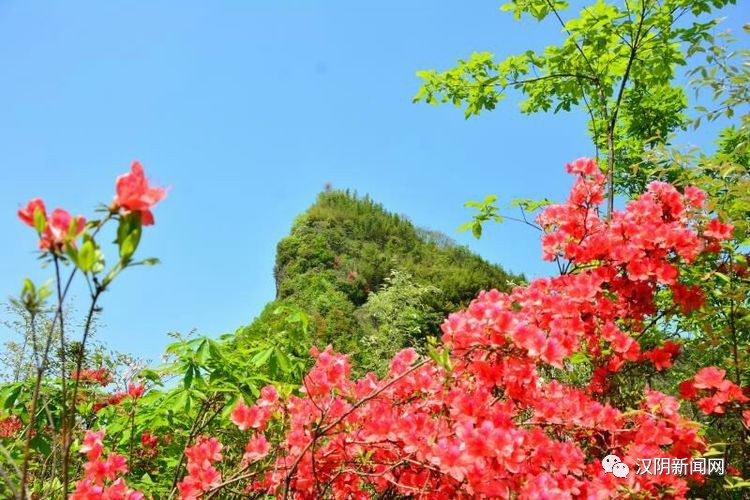 那么美|穿越鳌头山,被这些镜头惊呆了!