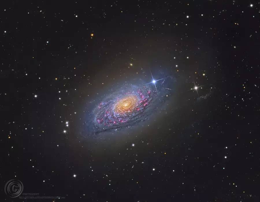 m63:向日葵星系