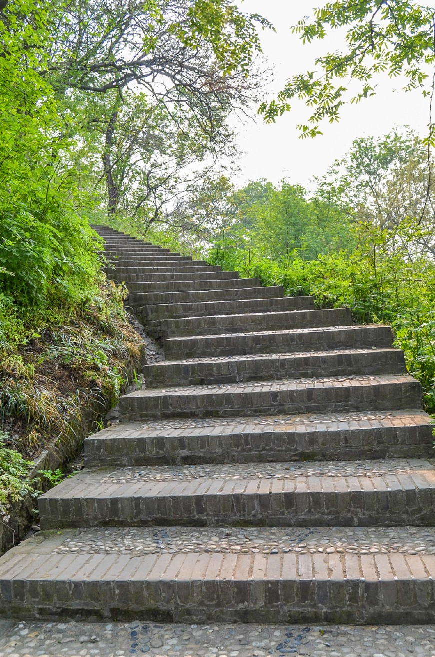 沿着台阶上山,身边的树木自然生长,郁郁葱葱,幽静中带有一丝沉寂.