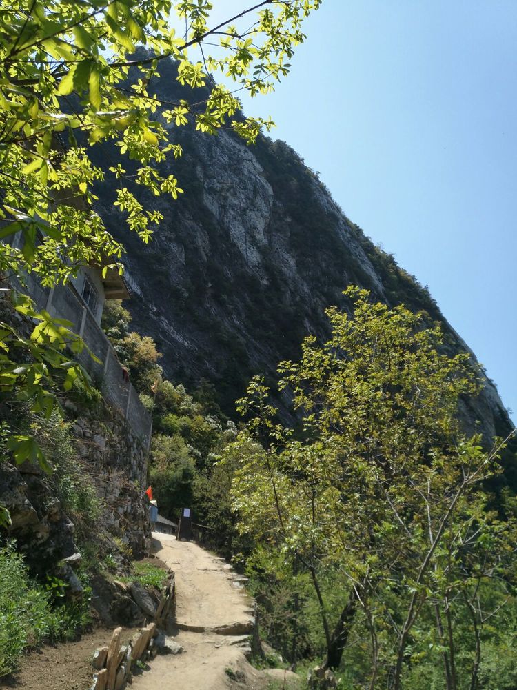 喜迎浴佛节百岁高僧寿咒王之楞严震彻山水间201751终南山观音古洞供养