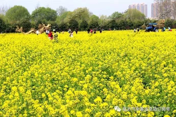 兰陵菜博园一日游