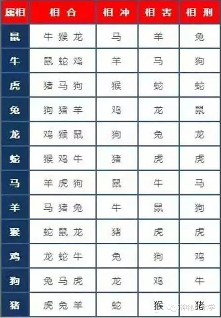 12生肖中什么人最冲你?哪些与你最合?