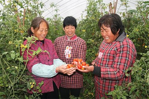 承包人口田以外的田_人口老龄化