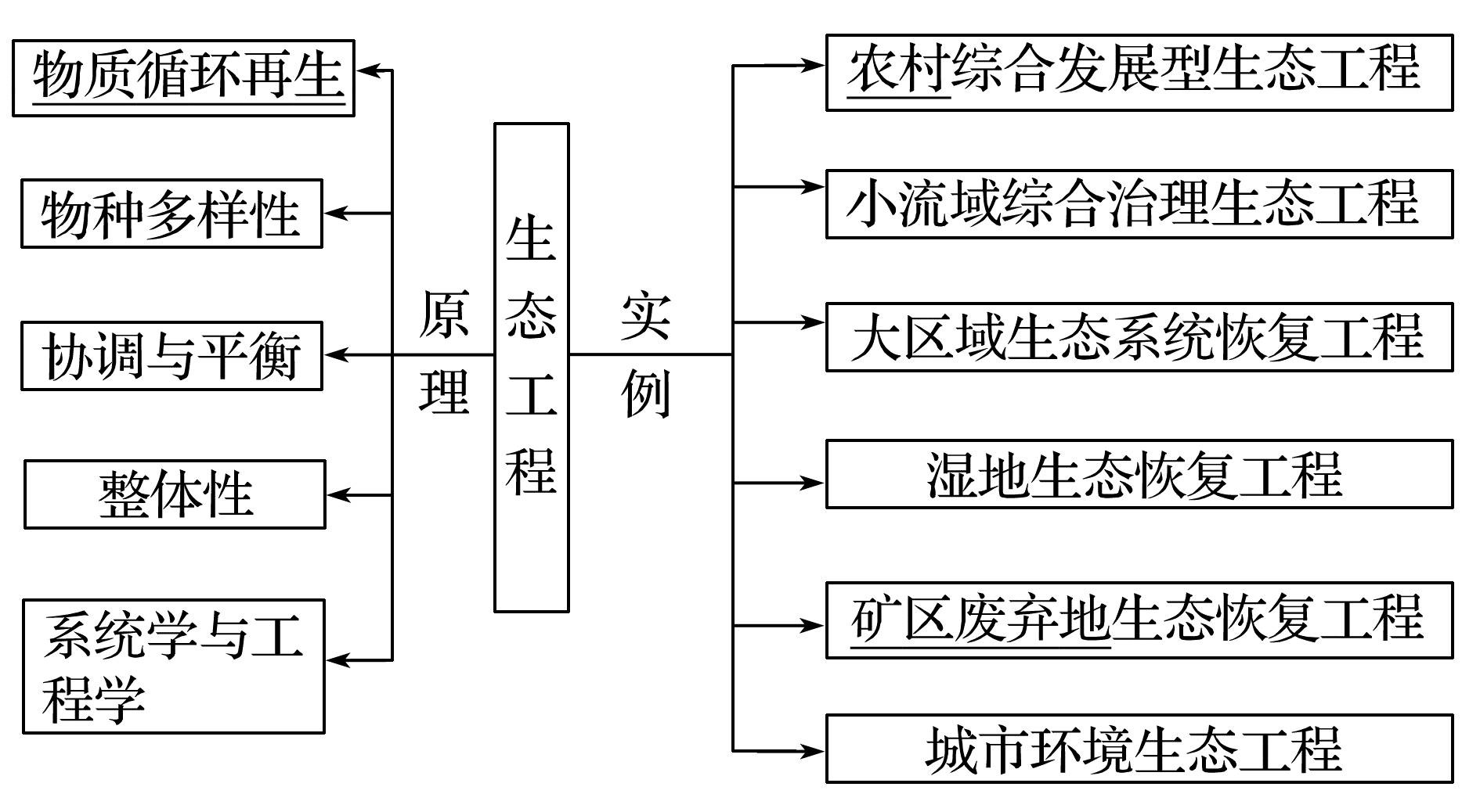 胚胎移植原理是什么_胚胎是什么样子的图片(2)