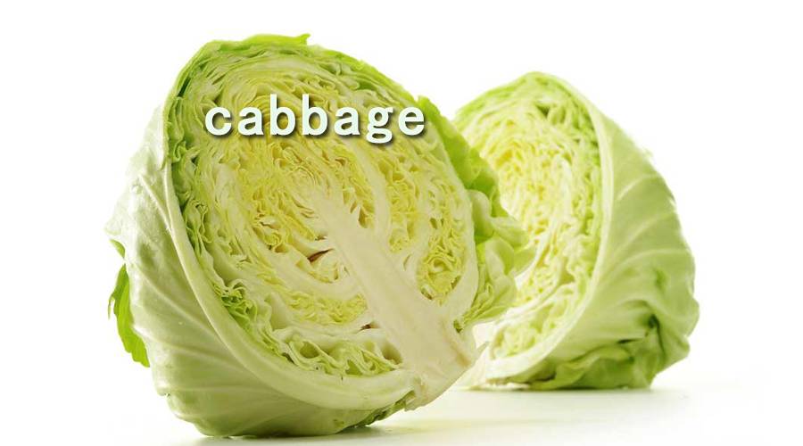 碰词er | cabbage cabin cabinet cable calculate_搜狐其它_搜狐网