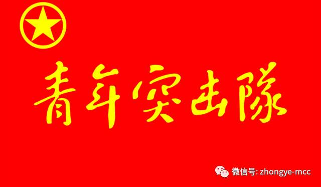 坚持以党建带团建,注重发挥青年突击队作用