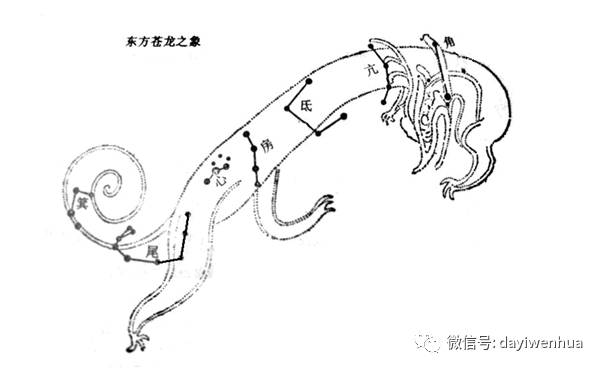 南方朱雀七宿,即井,鬼,柳,星,张,翼,轸.