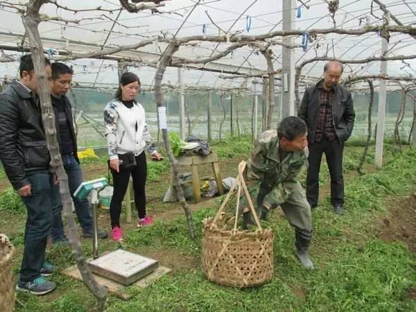 农业对人口发展的影响_农业发展对四川经济的影响分析