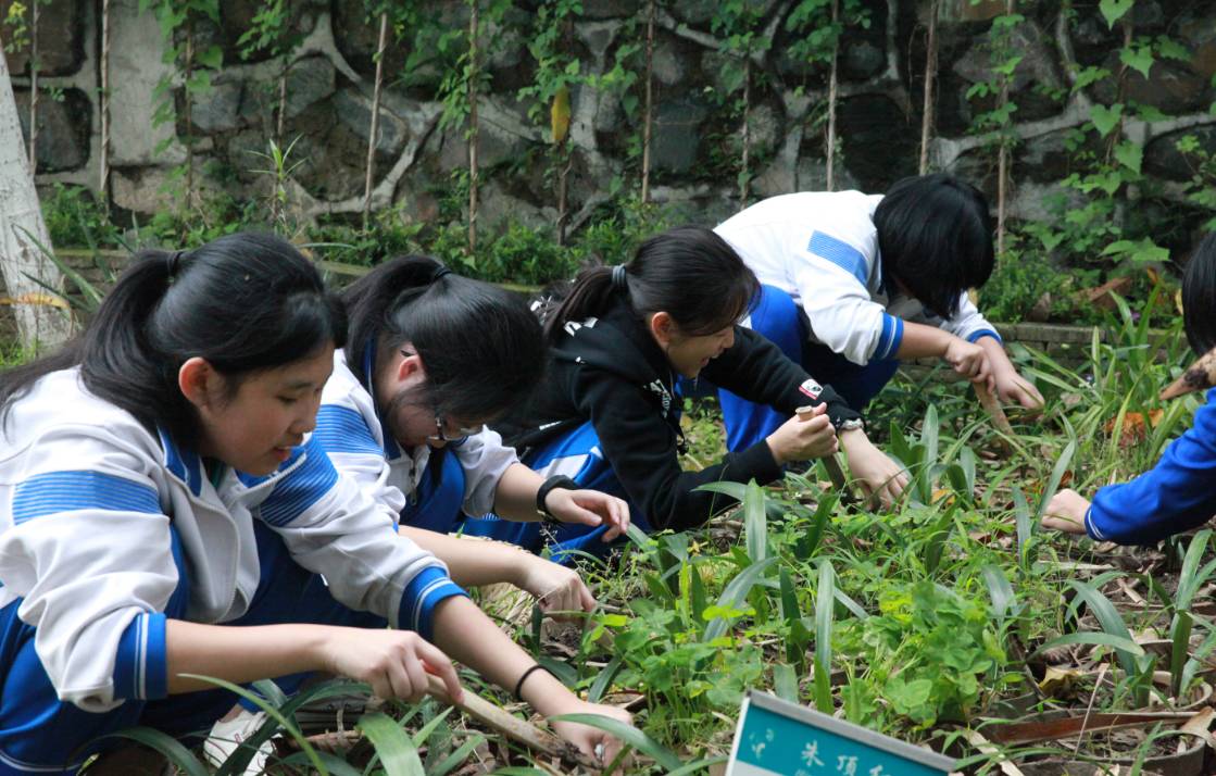 快乐学农实践学子满载而归