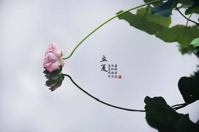 立夏诗词:一夜薰风带暑来