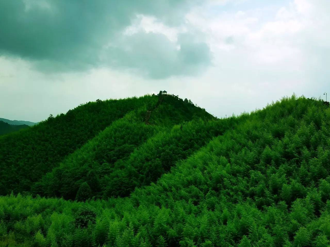 大洞竹海 执手相看两不厌