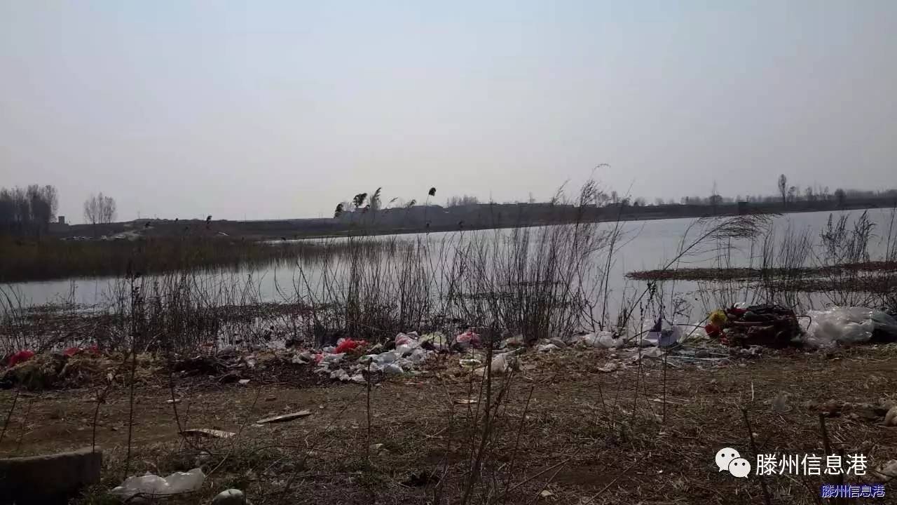 马河水库塘林村村前水库旁边垃圾成堆,这个水库是滕州市人民