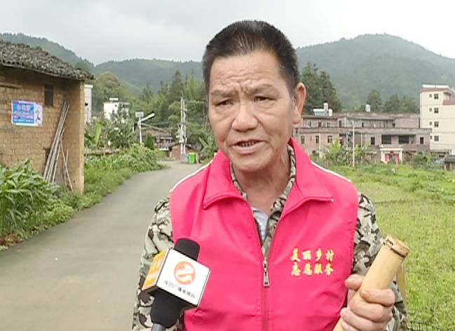 龙川麻布岗镇村道环境发生天翻地覆变化