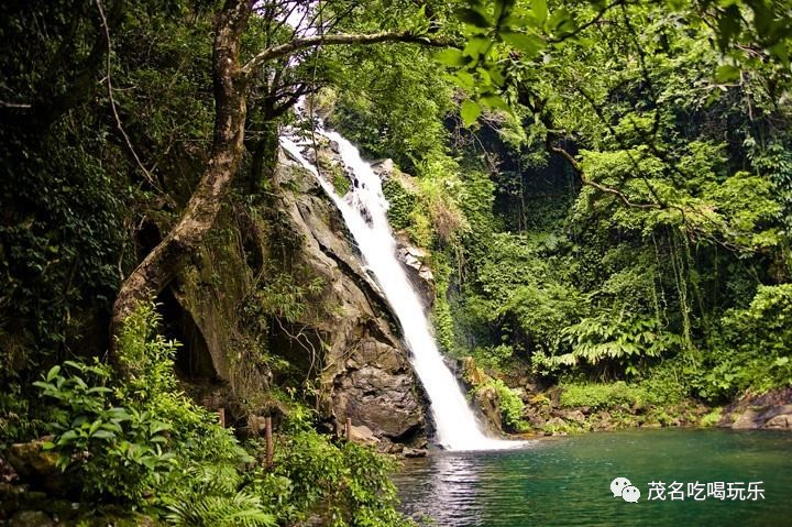 【大雾岭自然保护区】