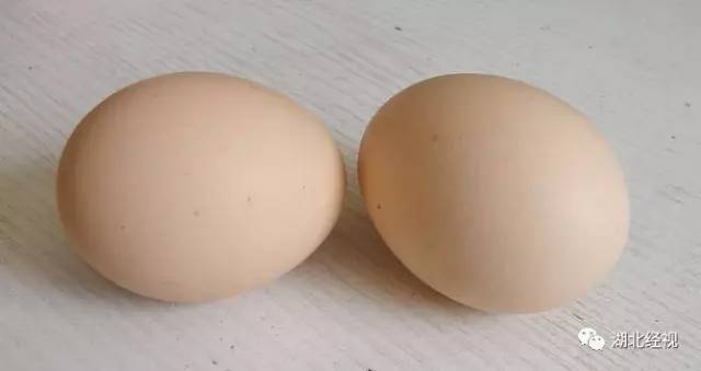 一家三口吃了炒鸡蛋都中毒了…这样保存鸡蛋大错特错！