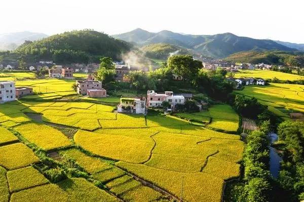 推动广东旅游扶贫和乡村旅游发展,近日,广东省旅游局与中国农业发展