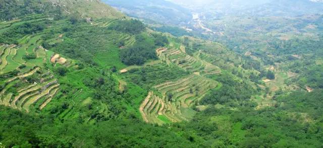 博山总人口数_博山酥锅图片